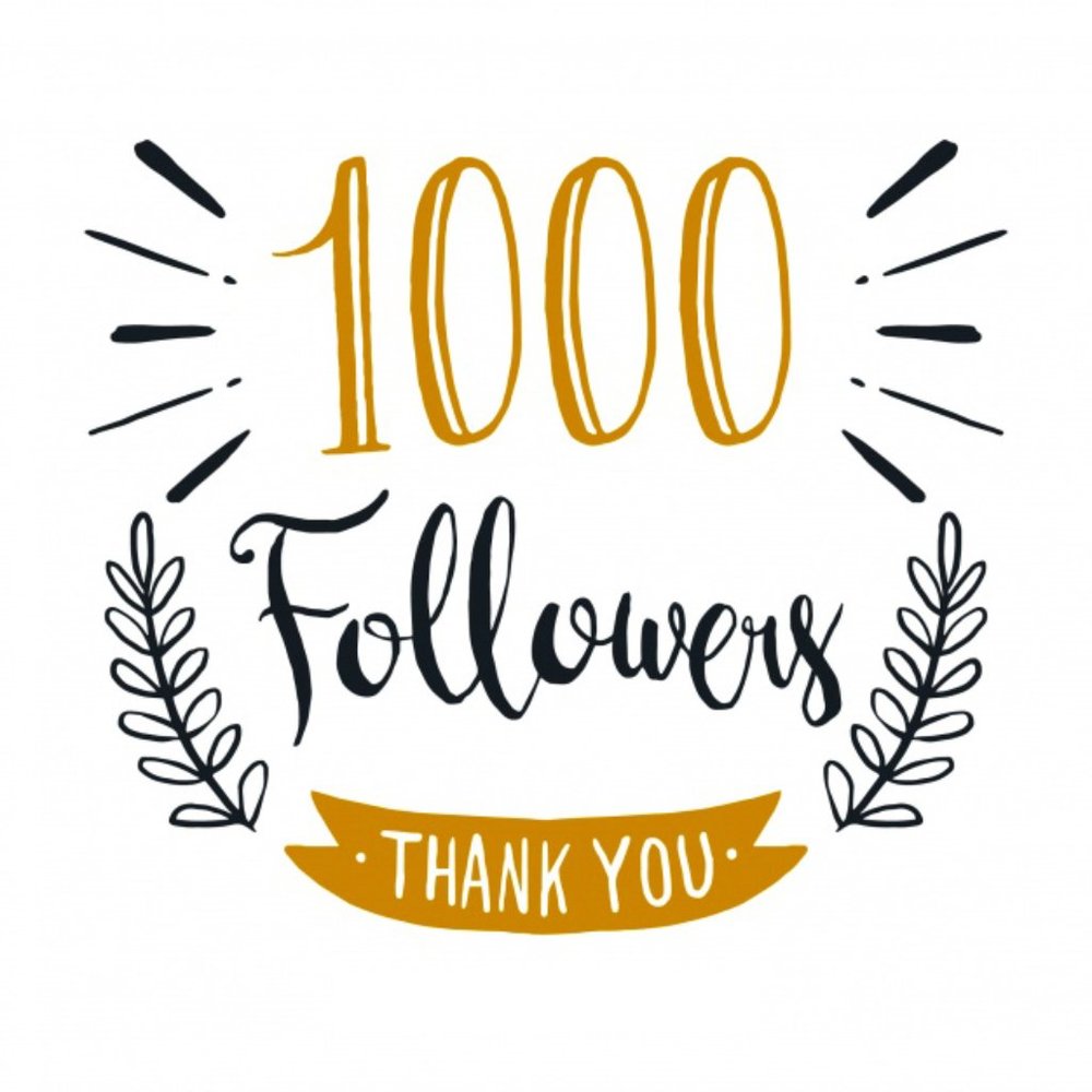 Thank you for 1000 followers!